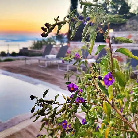 Axion Esti Konukevi Skopelos